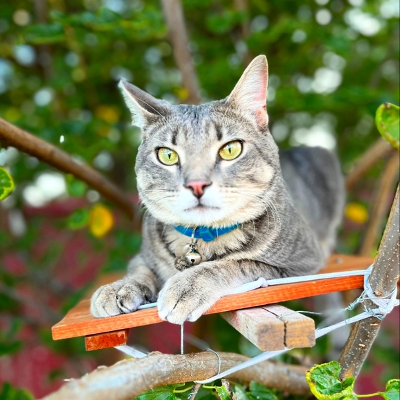 💫🌟Poshmark Ambassador🌟💫 💗 Maira💗 - Picture 7 of 16